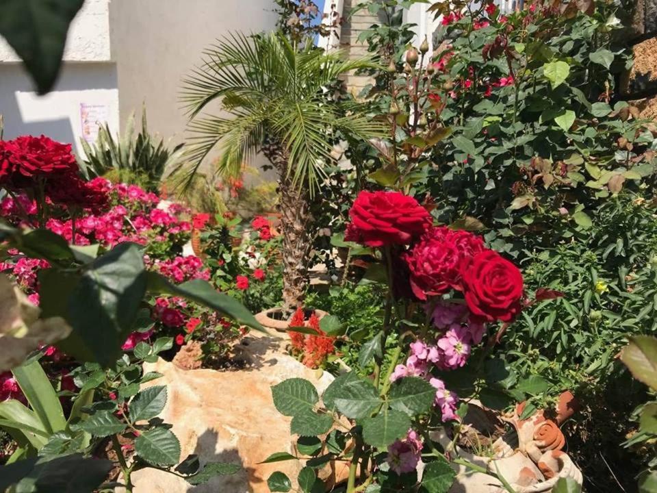 Athina Residence Léntas Dış mekan fotoğraf